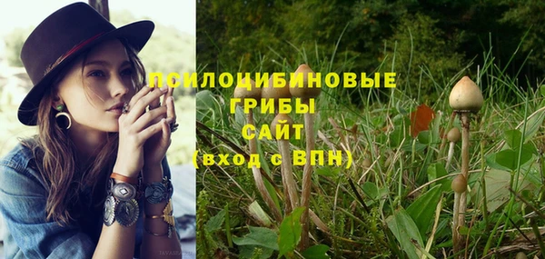 PSILOCYBIN Верхний Тагил