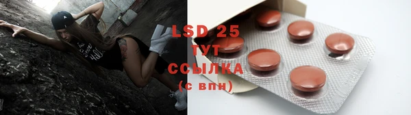PSILOCYBIN Верхний Тагил