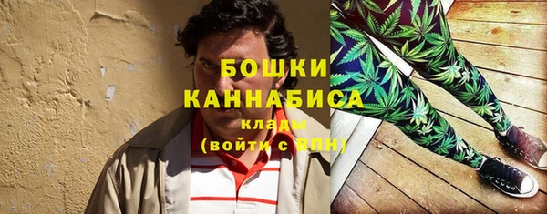 PSILOCYBIN Верхний Тагил