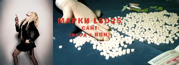 дмт Верея